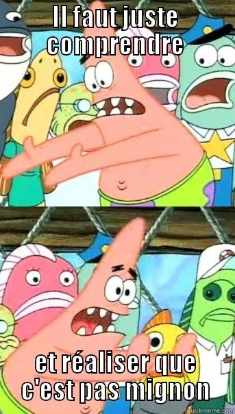 IL FAUT JUSTE COMPRENDRE ET RÉALISER QUE C'EST PAS MIGNON Push it somewhere else Patrick