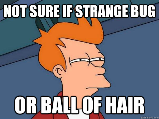 Not sure if strange bug  Or ball of hair - Not sure if strange bug  Or ball of hair  Futurama Fry