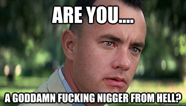 are you.... a goddamn fucking nigger from hell?  Offensive Forrest Gump