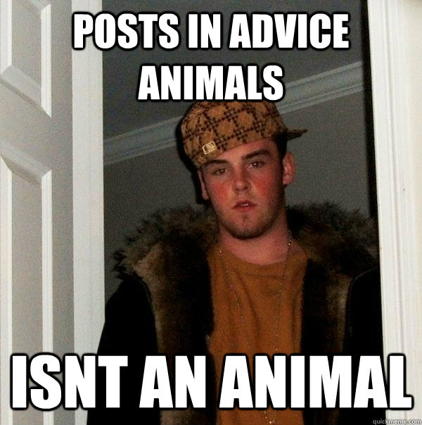 Posts in Advice Animals Isnt an Animal  Scumbag Steve