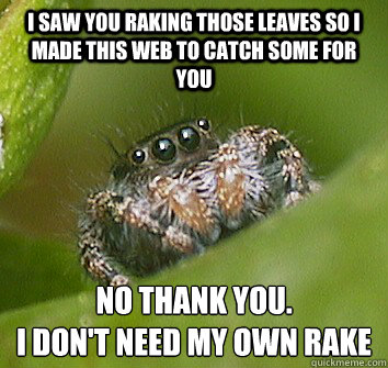 I saw you raking those leaves so I made this web to catch some for you No thank you.
I don't need my own rake  Misunderstood Spider