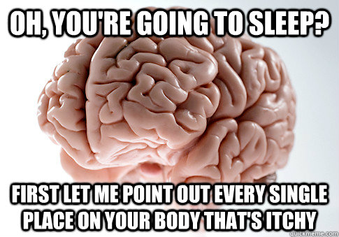 Oh, you're going to sleep? First let me point out every single place on your body that's itchy  Scumbag Brain