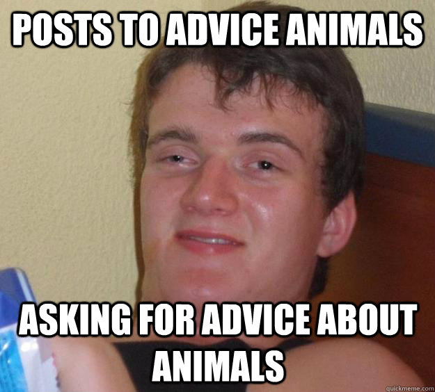 Posts to Advice Animals Asking for Advice about Animals  10 Guy