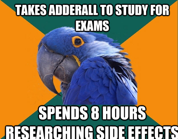 takes adderall to study for exams spends 8 hours researching side effects   Paranoid Parrot