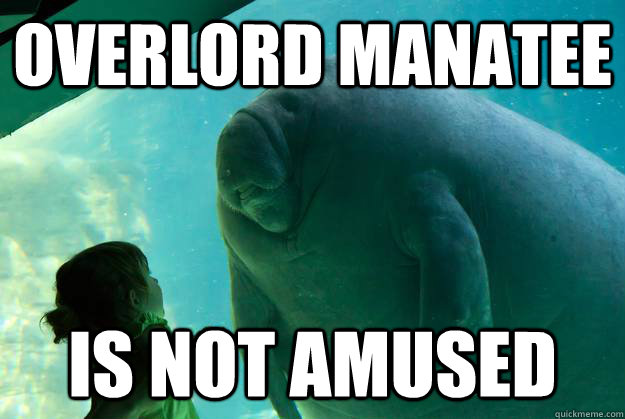 Overlord Manatee Is not amused  Overlord Manatee