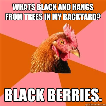 Whats black and hangs from trees in my backyard? black berries.  Anti-Joke Chicken