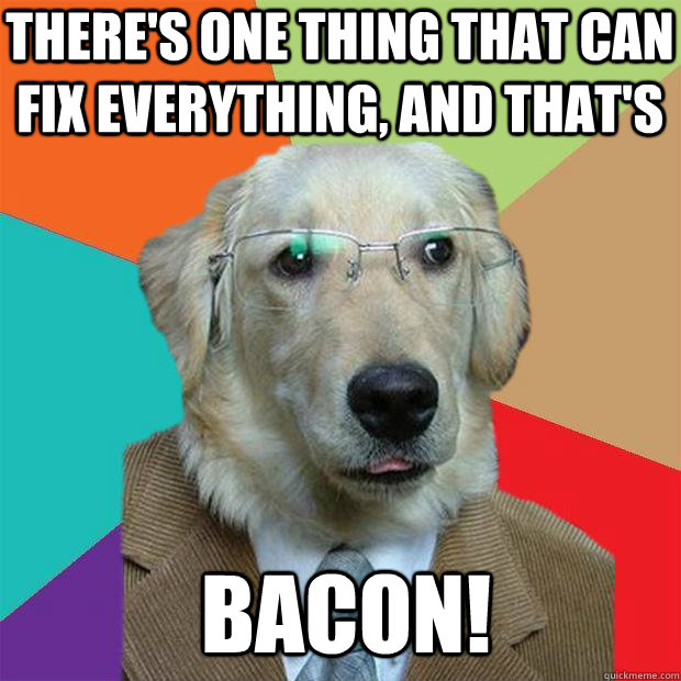 There's one thing that can fix everything, and that's BACON!  Business Dog