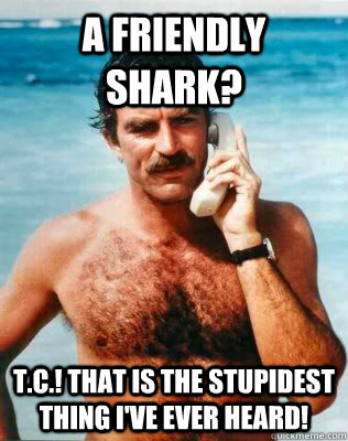 A friendly shark? T.C.! That is the stupidest thing I've ever heard!  Misleading Magnum