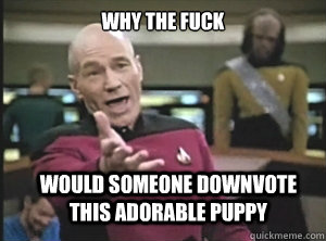 why the fuck would someone downvote this adorable puppy  Annoyed Picard