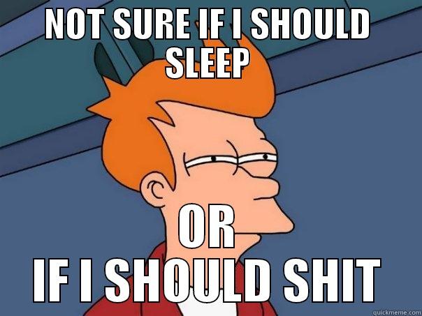 NOT SURE IF I SHOULD SLEEP OR IF I SHOULD SHIT Futurama Fry