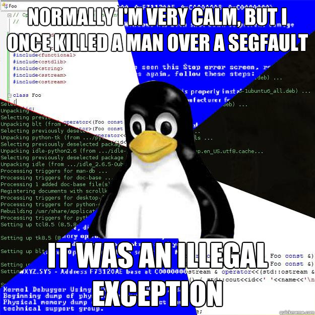 Normally I'm very calm, but I once killed a man over a segfault It was an illegal exception  Computer Science Penguin