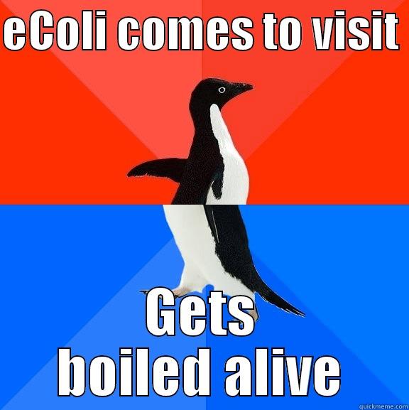 Portland or wtf - ECOLI COMES TO VISIT  GETS BOILED ALIVE Socially Awesome Awkward Penguin