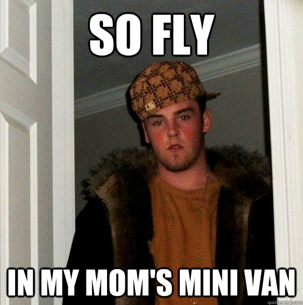 SO FLY in my mom's mini van - SO FLY in my mom's mini van  Scumbag Steve