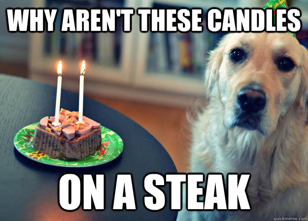 why aren't these candles on a steak  Sad Birthday Dog