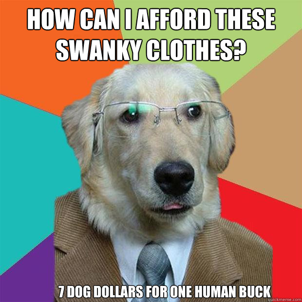 How can I afford these swanky clothes? 7 dog dollars for one human buck   Business Dog