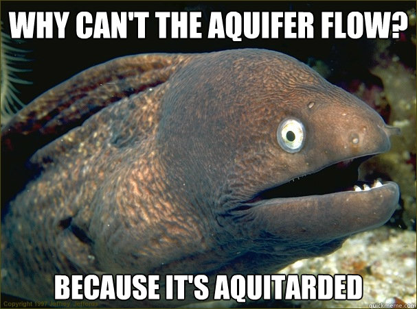 Why can't the aquifer flow? Because it's aquitarded   Bad Joke Eel