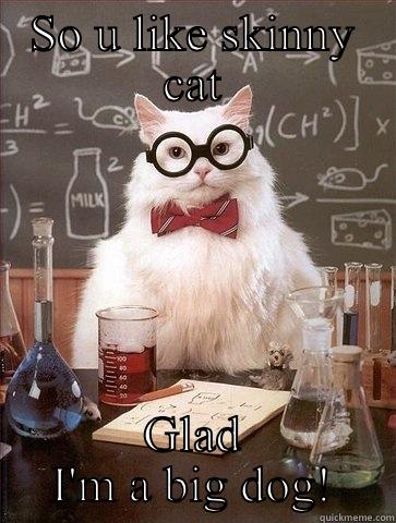 SO U LIKE SKINNY CAT GLAD I'M A BIG DOG! Chemistry Cat