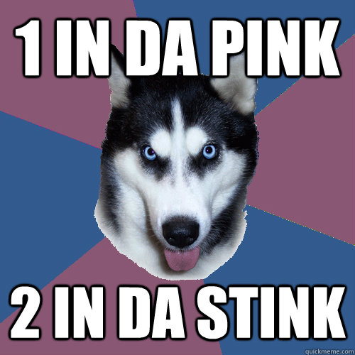 1 in da pink 2 in da stink  Creeper Canine