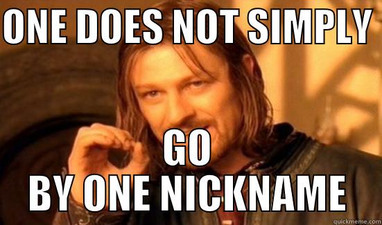 ONE DOES NOT SIMPLY  GO BY ONE NICKNAME Boromir