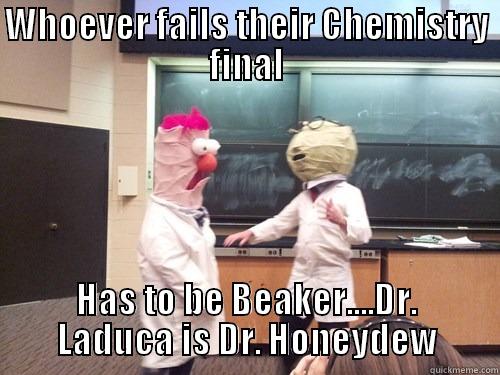 WHOEVER FAILS THEIR CHEMISTRY FINAL HAS TO BE BEAKER....DR. LADUCA IS DR. HONEYDEW Misc