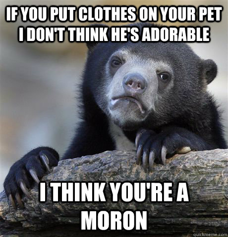 if you put clothes on your pet i don't think he's adorable I think you're a moron  Confession Bear