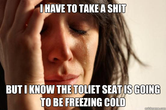 I have to take a shit but i know the toliet seat is going to be freezing cold  First World Problems