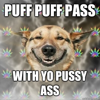 PUFF PUFF PASS WITH YO PUSSY ASS  Stoner Dog