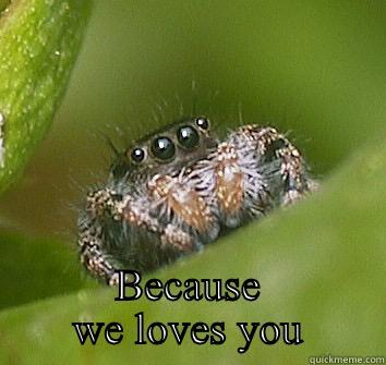  BECAUSE WE LOVES YOU Misunderstood Spider