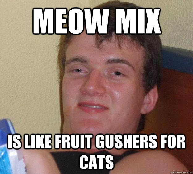 meow mix is like fruit gushers for cats  10 Guy