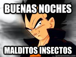 Buenas noches malditos insectos  Scumbag Vegeta