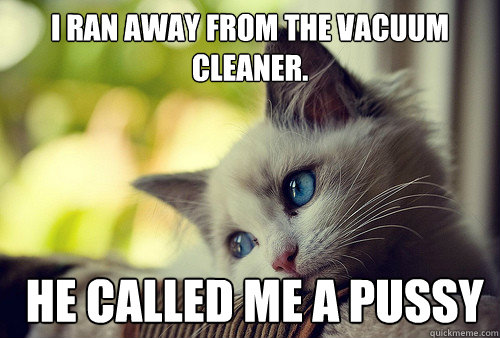 I ran away from the vacuum cleaner.  he called me a pussy  First World Problems Cat