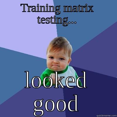 Training matrix testing - TRAINING MATRIX TESTING... LOOKED GOOD Success Kid