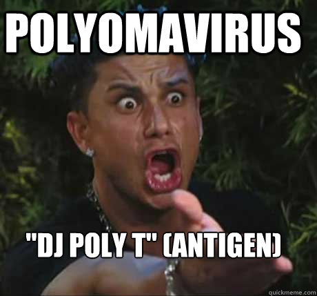 polyomavirus 