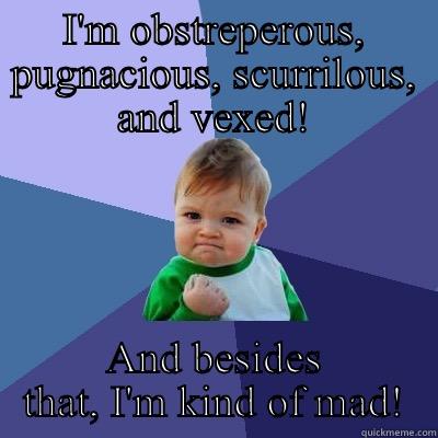 I'M OBSTREPEROUS, PUGNACIOUS, SCURRILOUS, AND VEXED! AND BESIDES THAT, I'M KIND OF MAD! Success Kid