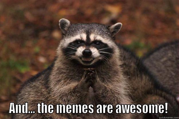  AND... THE MEMES ARE AWESOME! Evil Plotting Raccoon