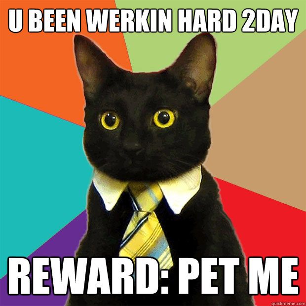 u been werkin hard 2day reward: pet me  Business Cat