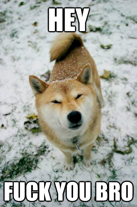 Hey Fuck you bro - Hey Fuck you bro  Stoner Dog