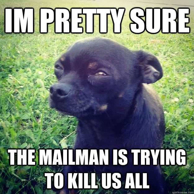 Im pretty sure The mailman is trying to kill us all  Skeptical Dog