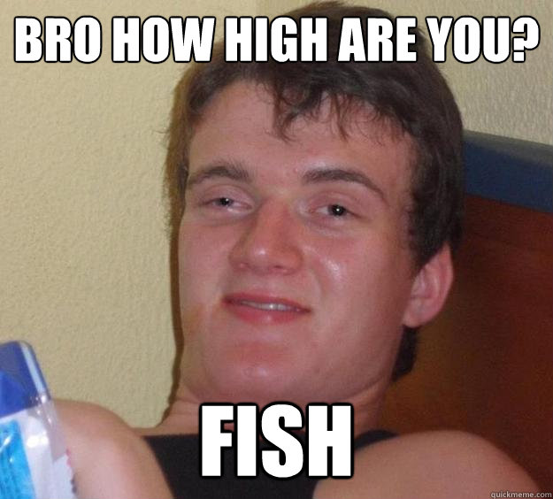 Bro how high are you? FIsh  - Bro how high are you? FIsh   10 Guy