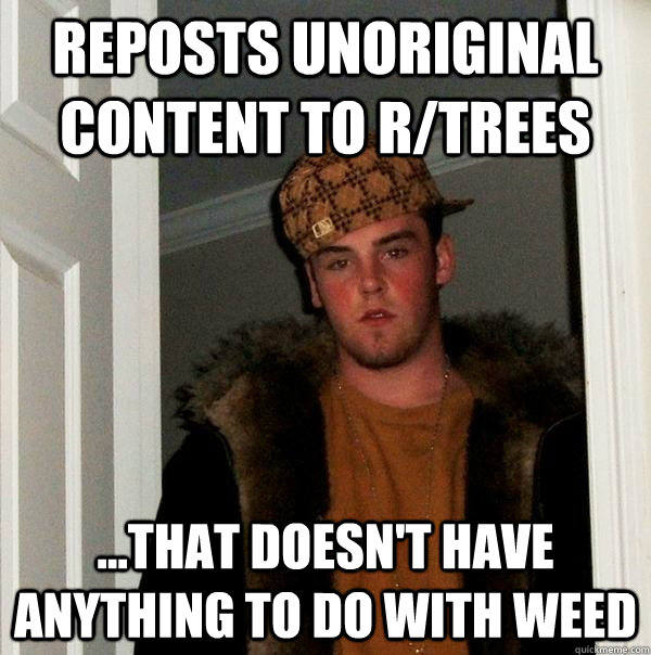 reposts unoriginal content to r/trees ...that doesn't have anything to do with weed - reposts unoriginal content to r/trees ...that doesn't have anything to do with weed  Scumbag Steve