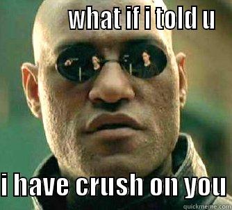              WHAT IF I TOLD U  I HAVE CRUSH ON YOU Matrix Morpheus