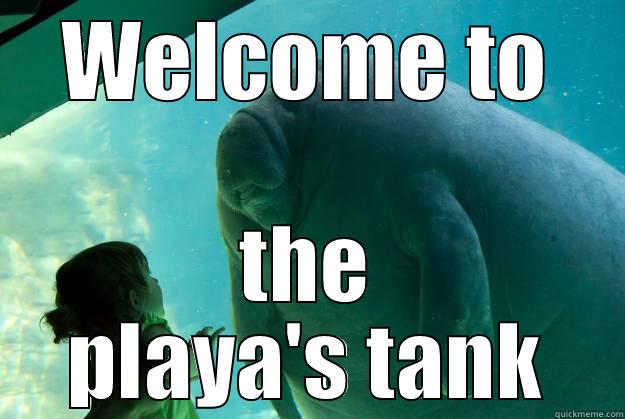 WELCOME TO THE PLAYA'S TANK Overlord Manatee