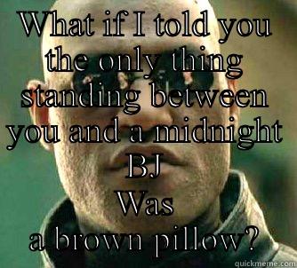 WHAT IF I TOLD YOU THE ONLY THING STANDING BETWEEN YOU AND A MIDNIGHT BJ WAS A BROWN PILLOW? Matrix Morpheus