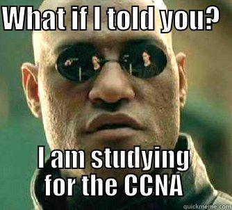 WHAT IF I TOLD YOU?   I AM STUDYING FOR THE CCNA Matrix Morpheus