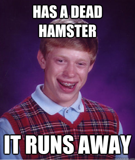 Has a dead hamster it runs away  Bad Luck Brian