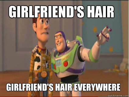 girlfriend's hair girlfriend's hair everywhere  woody and buzz