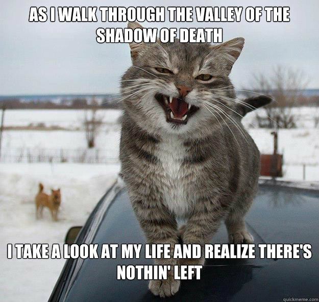 As I walk through the valley of the shadow of death I take a look at my life and realize there's nothin' left - As I walk through the valley of the shadow of death I take a look at my life and realize there's nothin' left  Rapper Cat