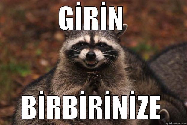 GİRİN BİRBİRİNİZE Evil Plotting Raccoon