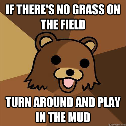 if there's no grass on the field turn around and play in the mud  Pedobear