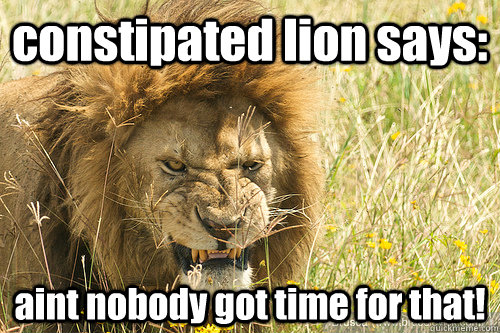 constipated lion says: aint nobody got time for that! - constipated lion says: aint nobody got time for that!  constipated lion